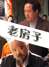 国产v综合v亚洲欧美大片婷婷